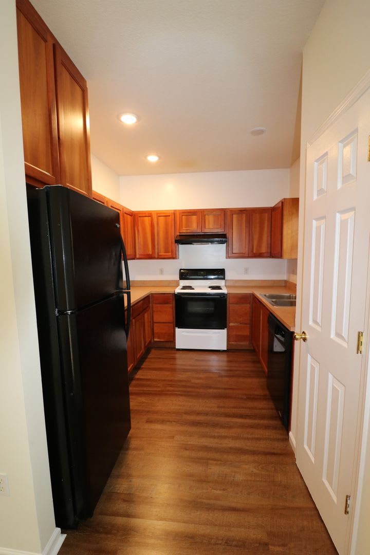 First month's RENT FREE! 3 Bedroom 3 Bath House Next to Campus – photo 4