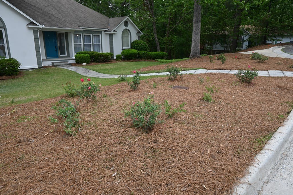 19 Nettle Court – photo 5