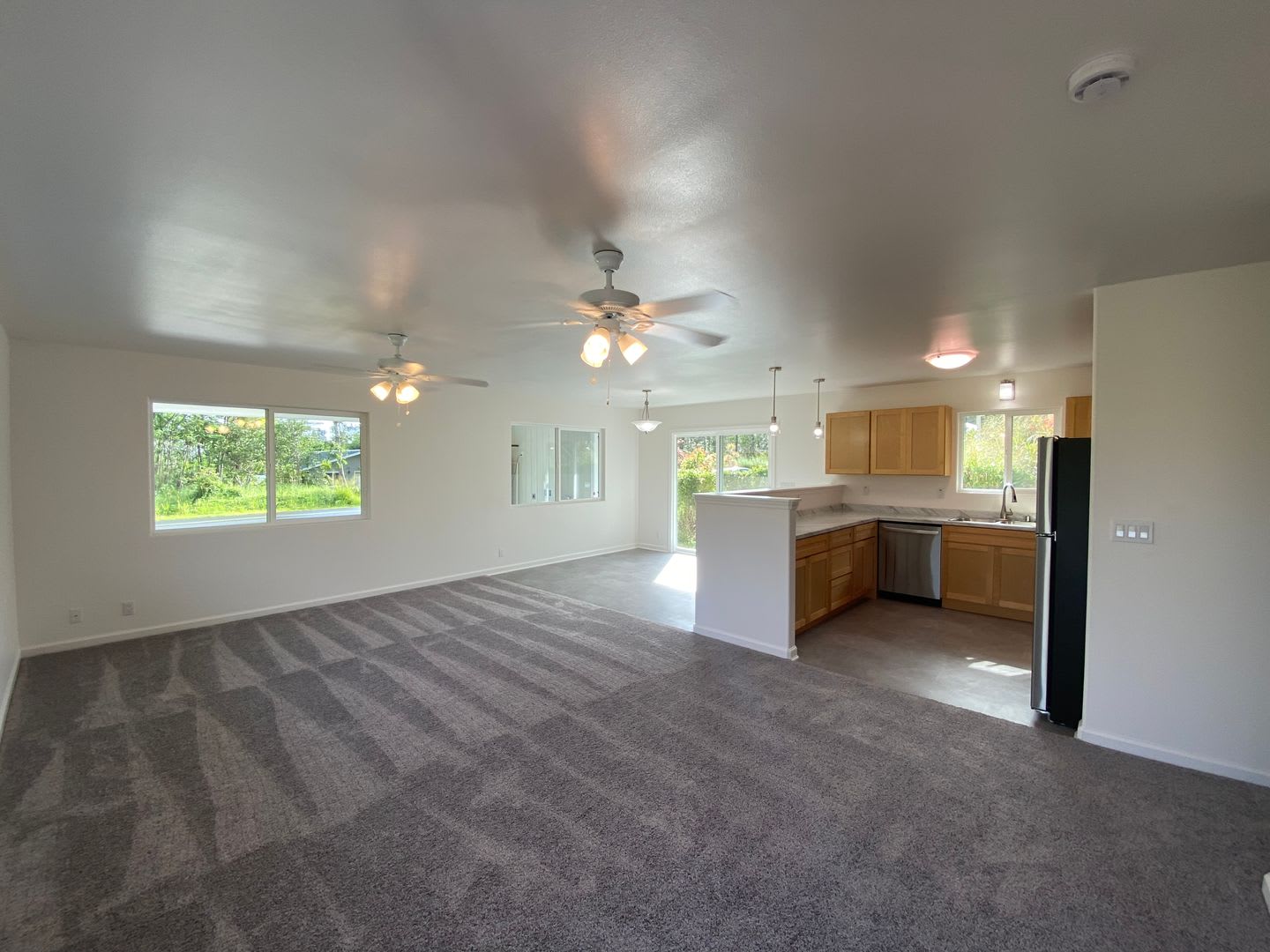 Brand New 3 Bedroom 2 Bath Home In Ainaloa – photo 3