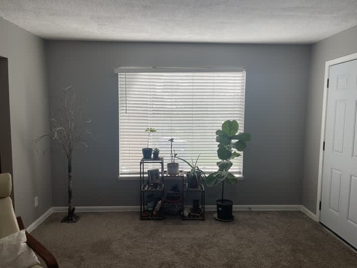 770 Stratford Avenue – photo 4