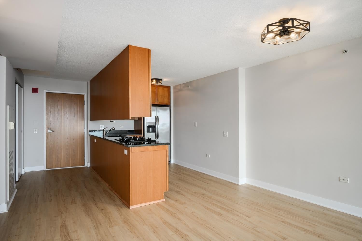 9715 Woods Drive – photo 3