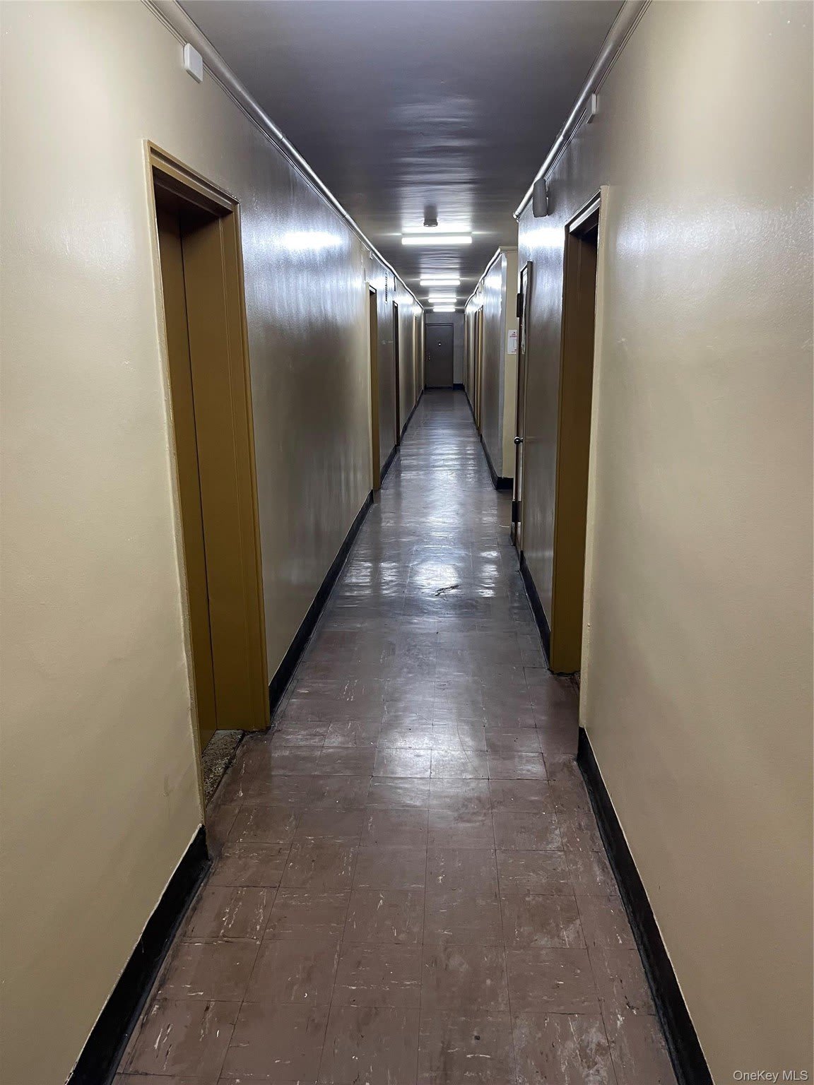 170 06 88Th Avenue – photo 2