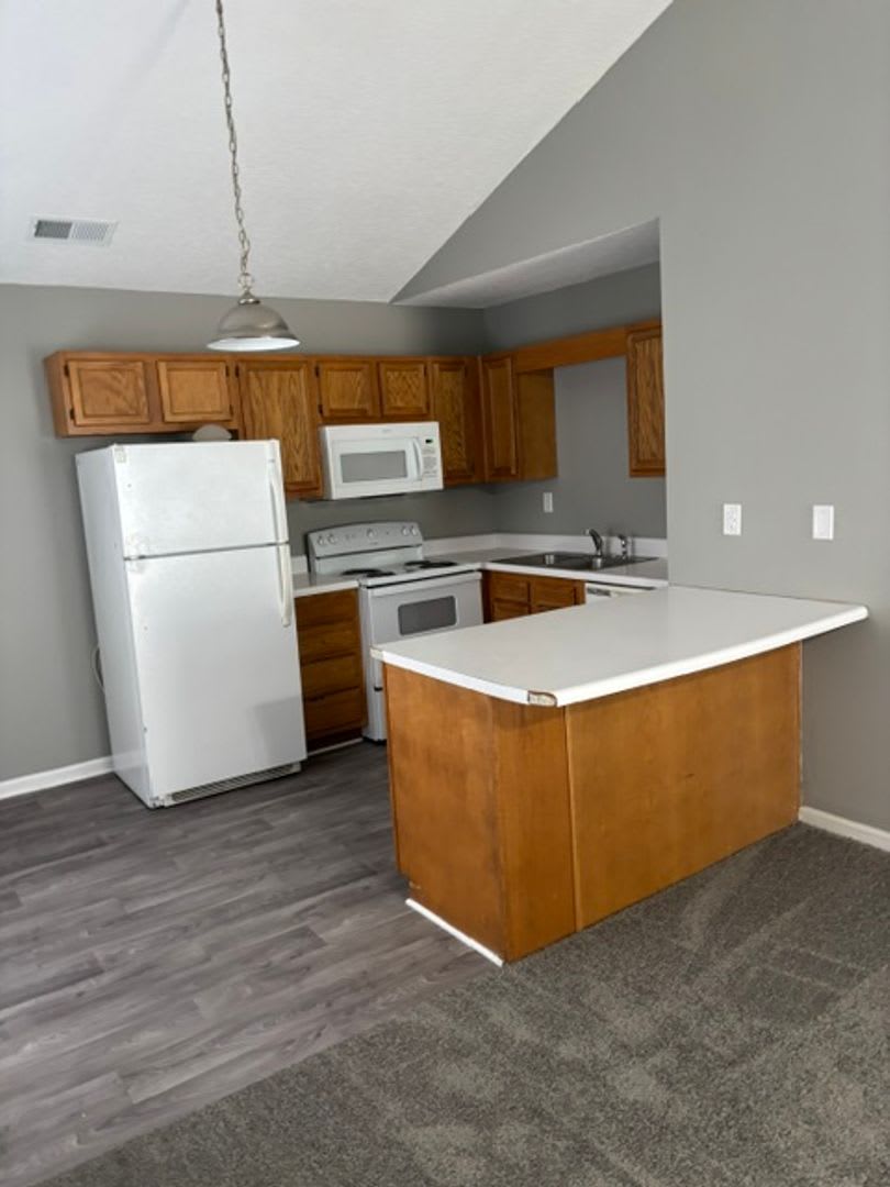 1255 – photo 3