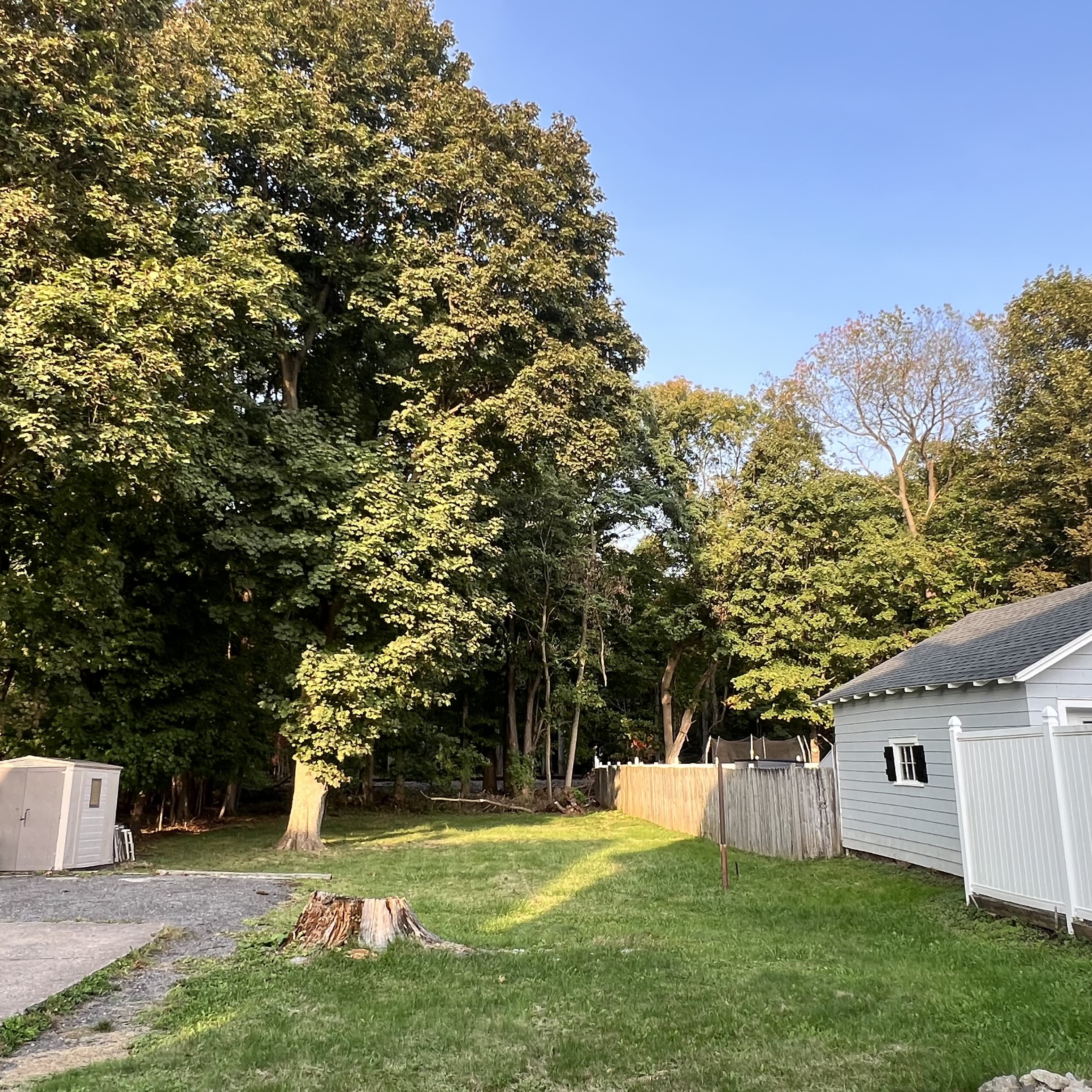 31 Higby Road – photo 2