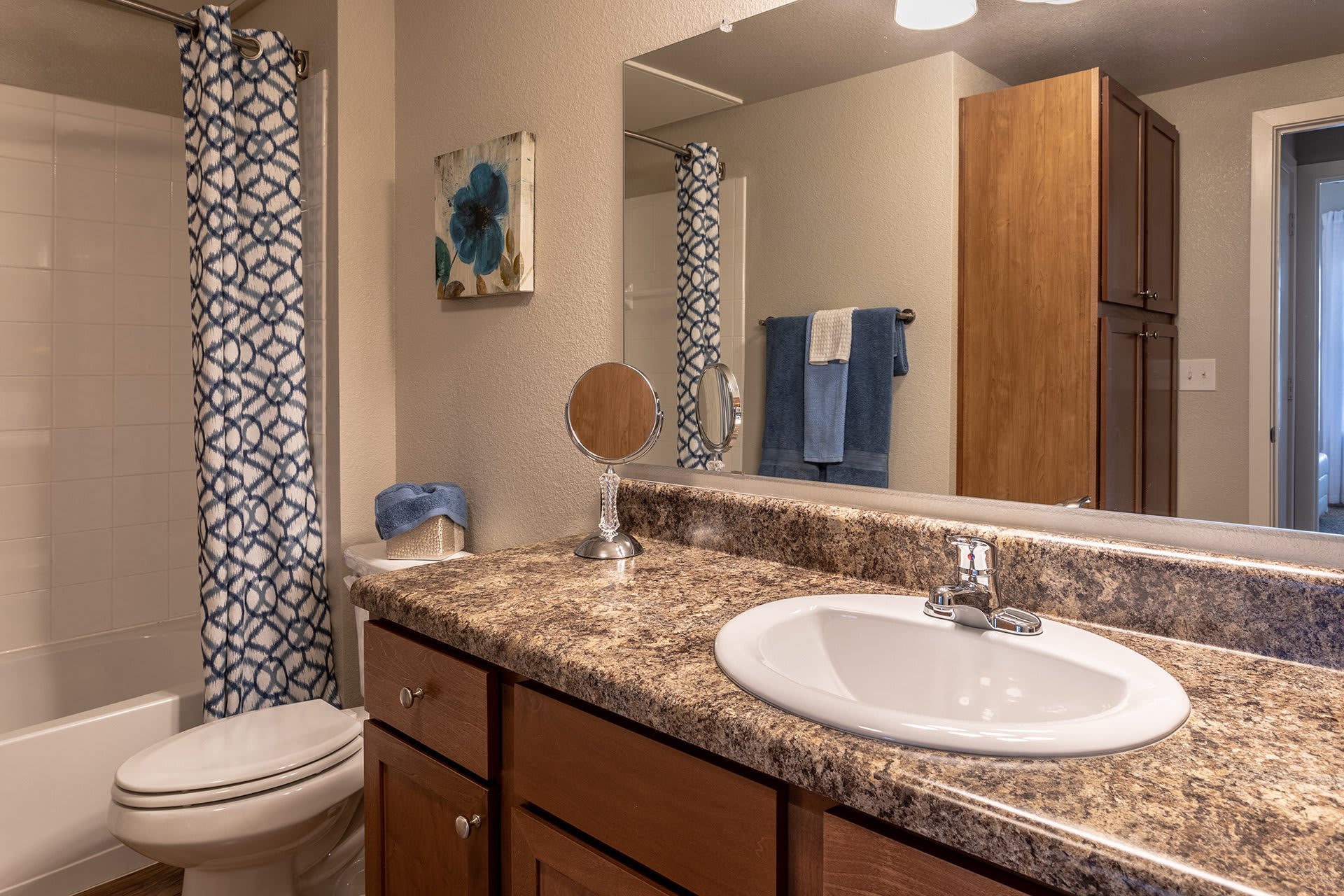Verandas at Alamo Ranch Apartments – photo 5