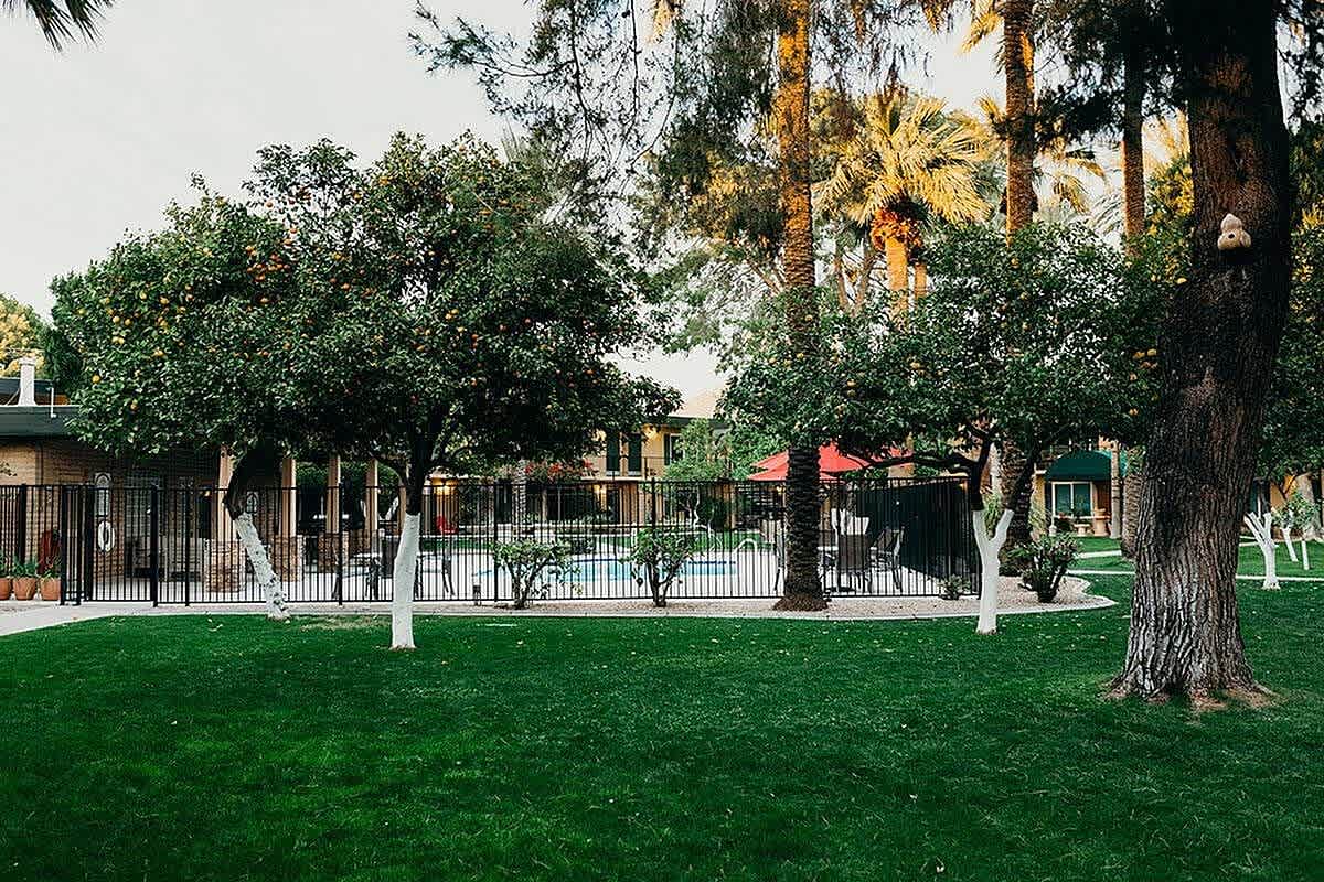 Oasis in the City – photo 3