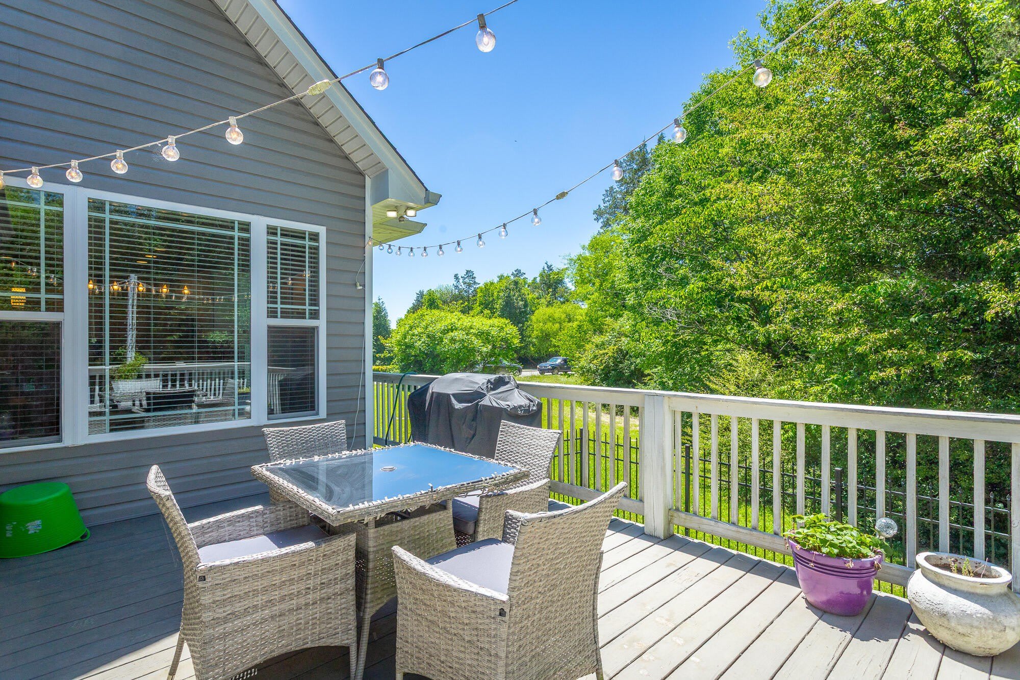 2890 Fernleaf Lane – photo 1