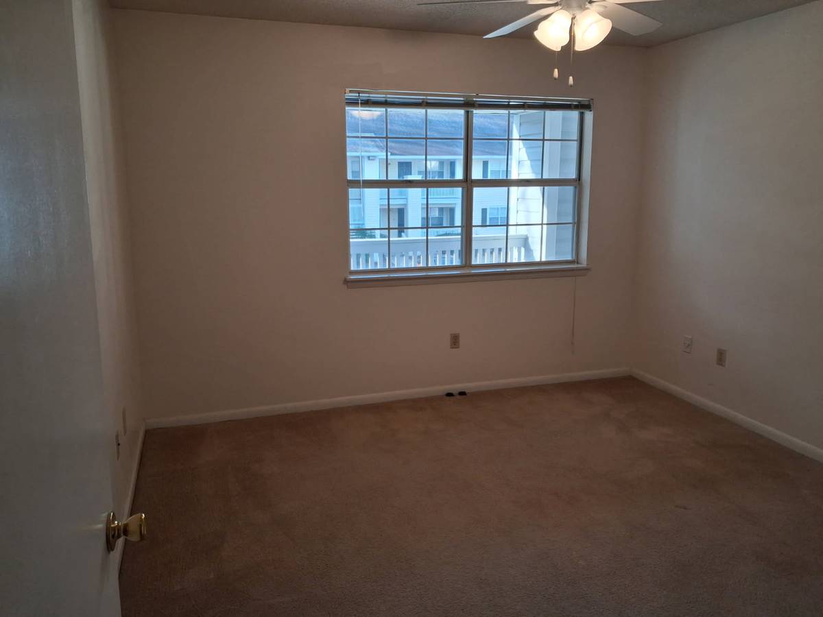 11102 Abercorn Street – photo 2