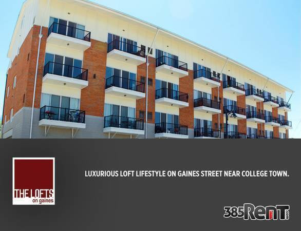 The Lofts On Gaines – photo 5
