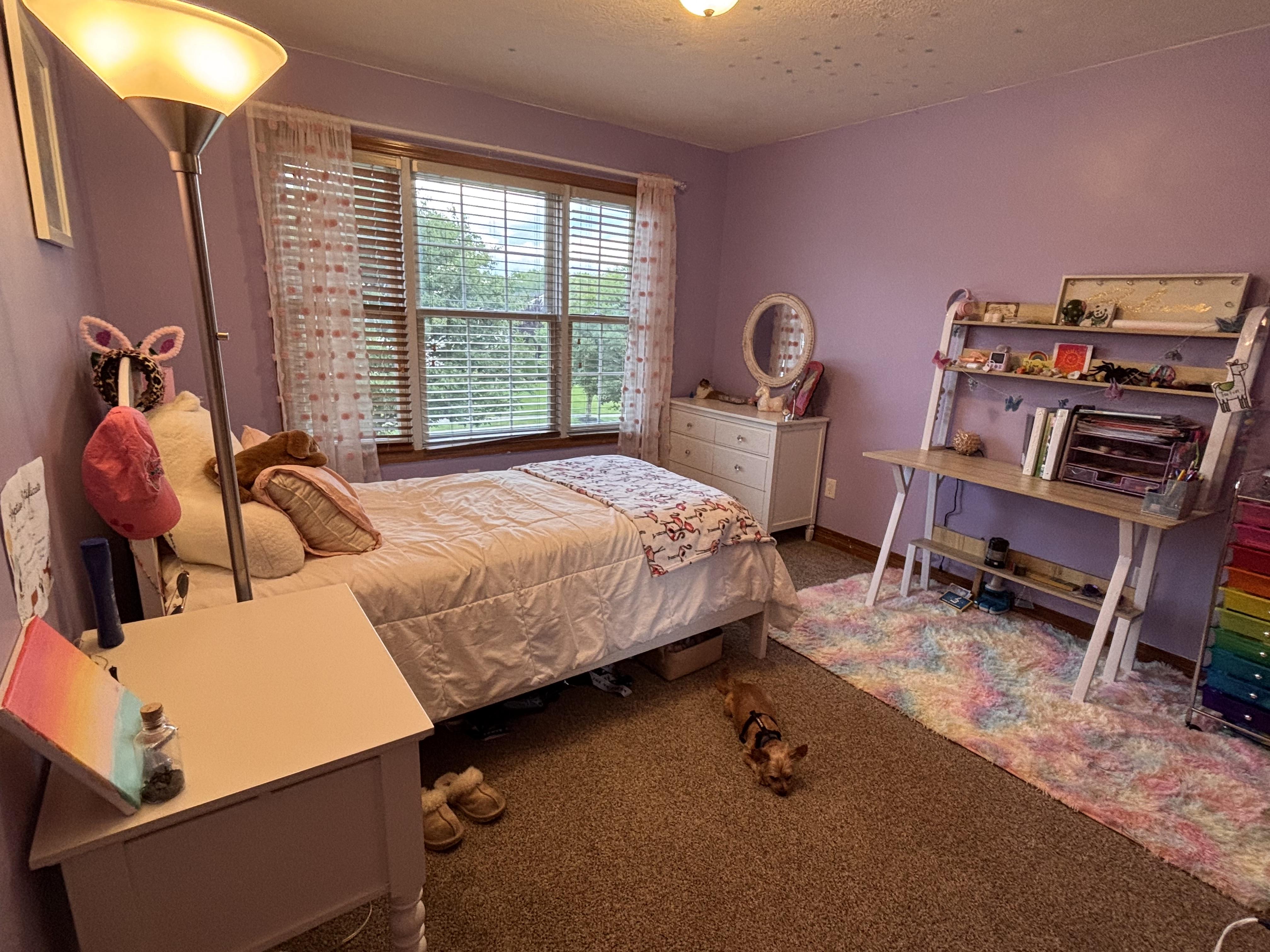 8895 Emerald Hill Dr – photo 3