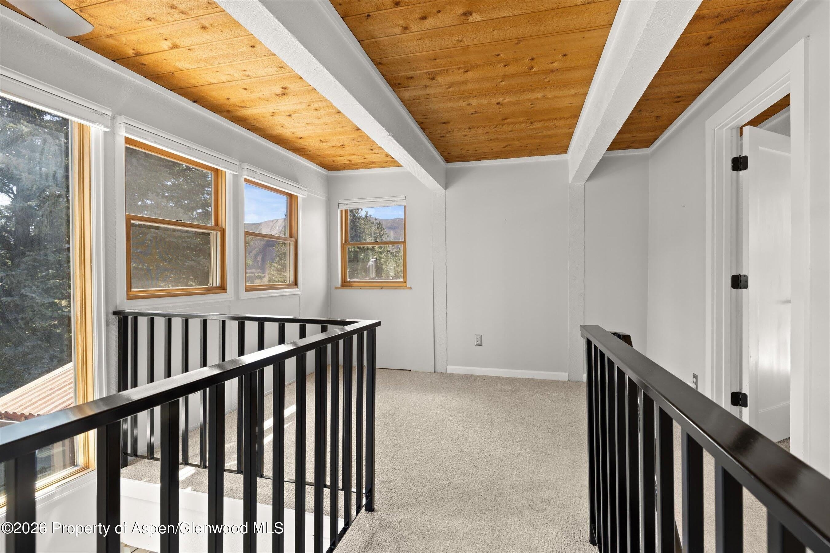 217 Longhorn Lane – photo 4