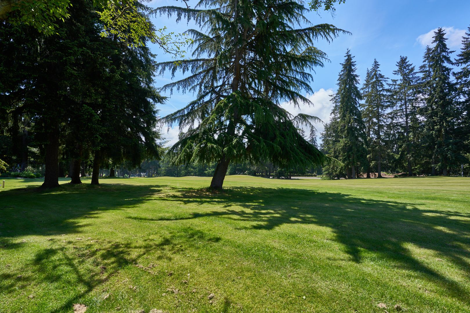 Recently Renovated 4BR/3BA Home Backing the Golf Course – Federal Way – photo 4