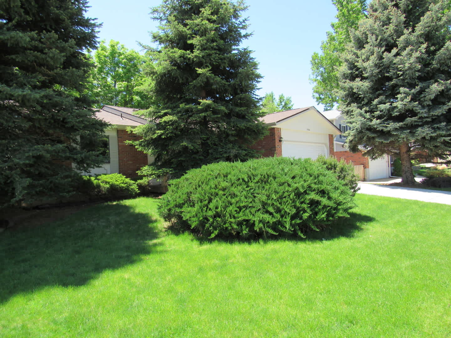 Immaculate Ranch with Large Backyard and Basement in Arvada – photo 1