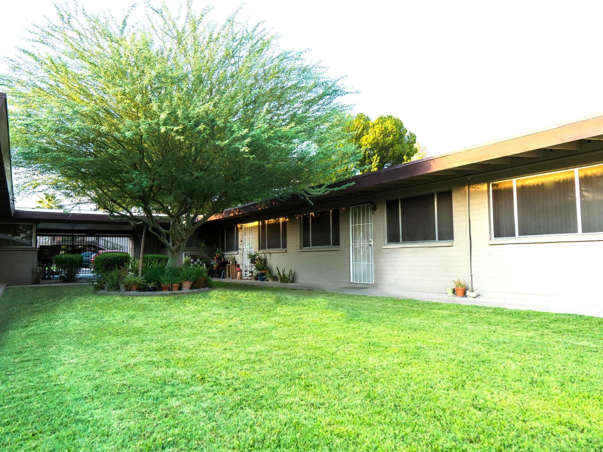Tropicana Apartments – photo 1