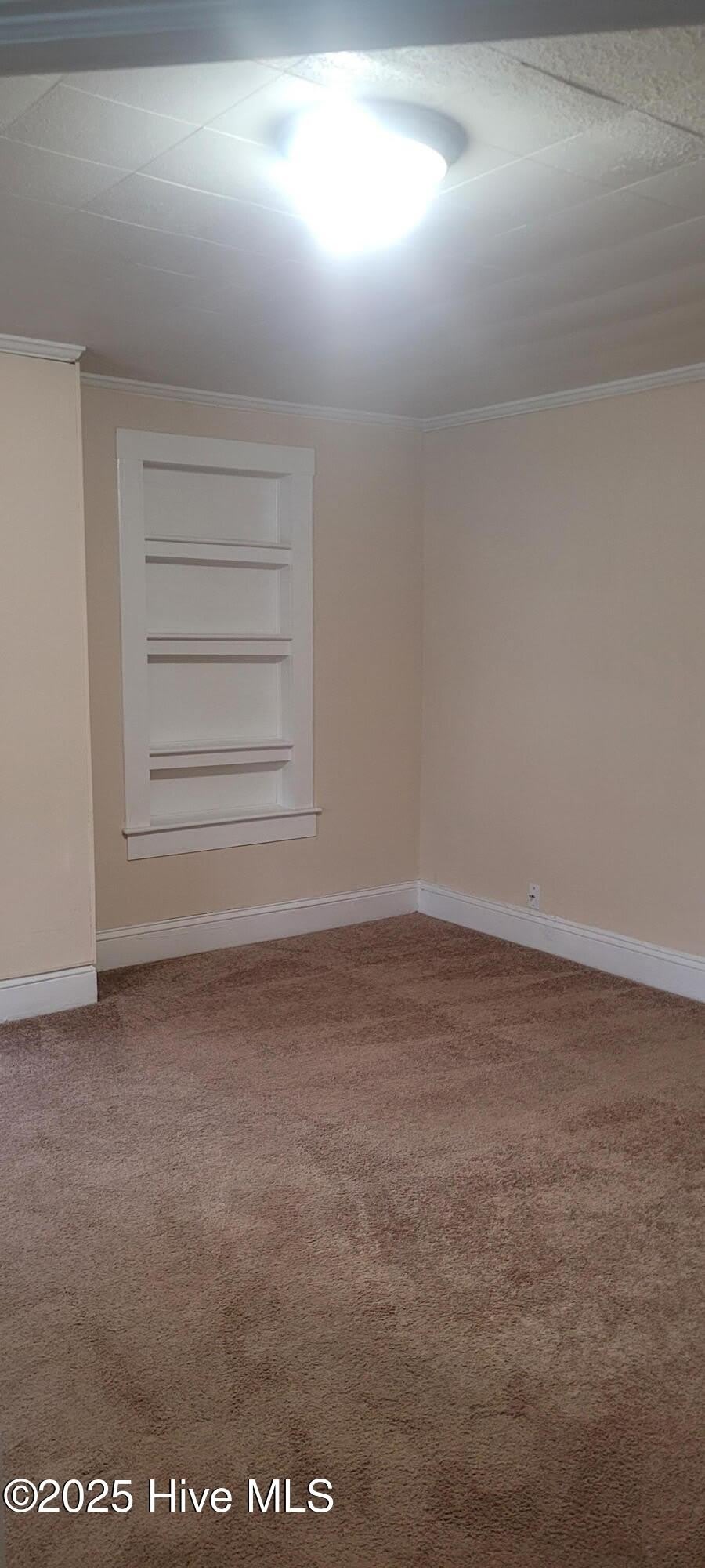313 Culpepper Street – photo 5