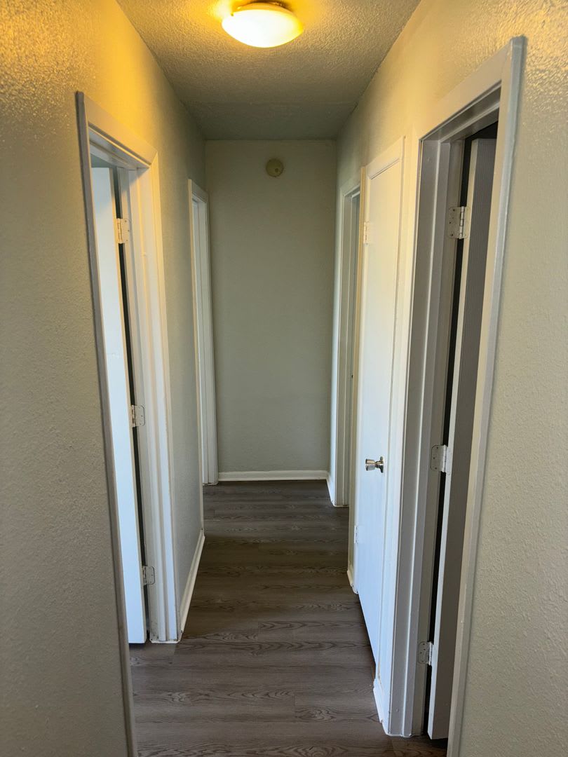 Cozy 3/2 in the Heart of South Austin! – photo 5
