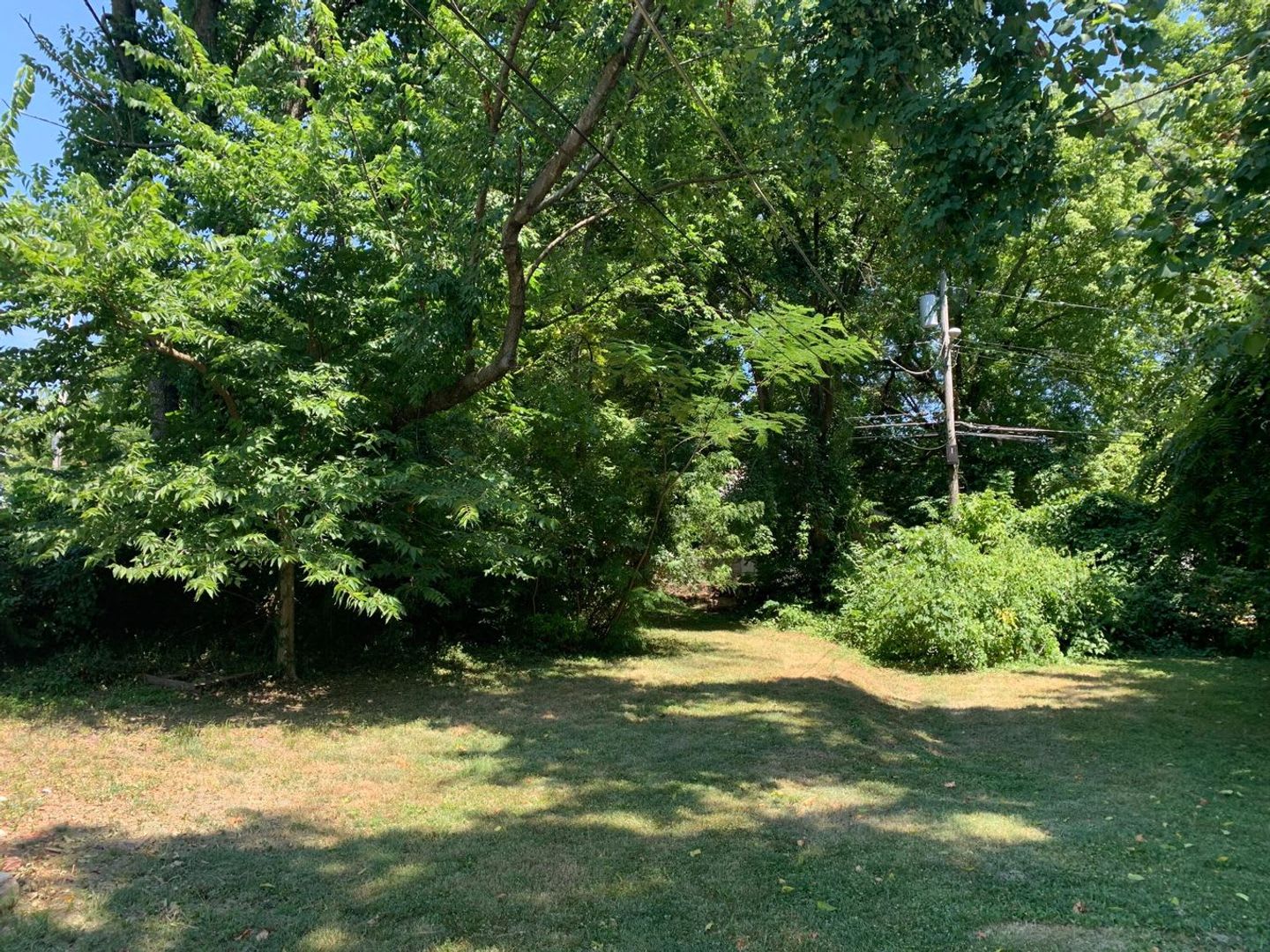 Close to Drury University and OTC! – photo 3