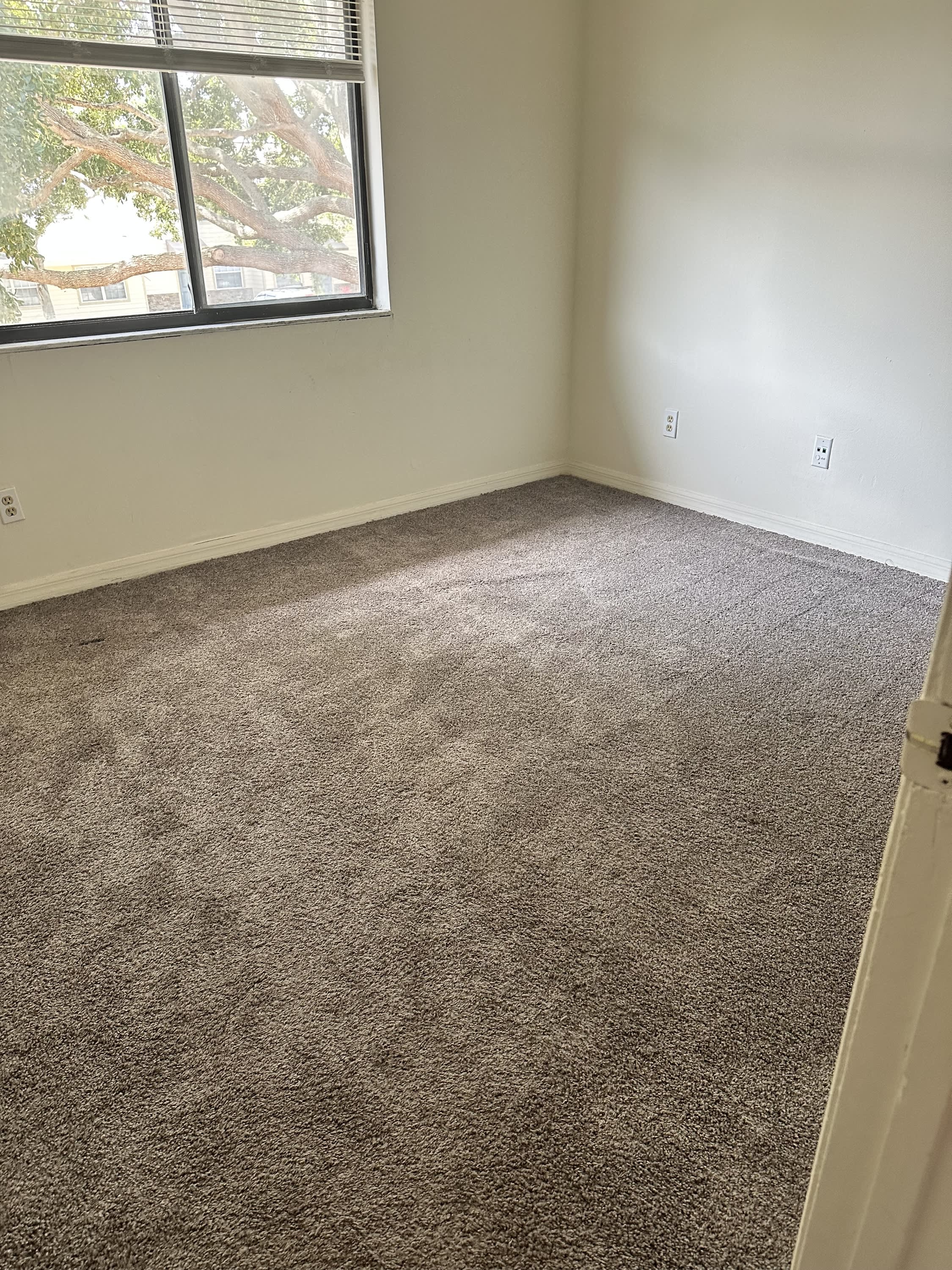 901 Hickory Street – photo 5