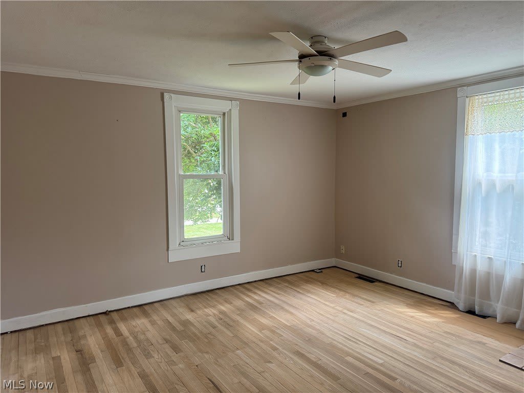 6917 Daisy Avenue – photo 2