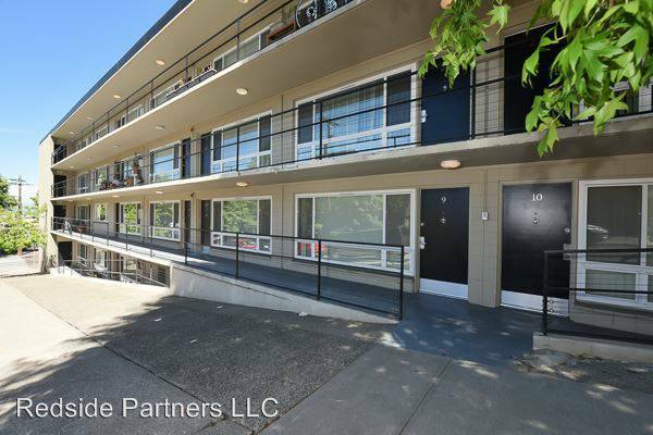 Webster – photo 3