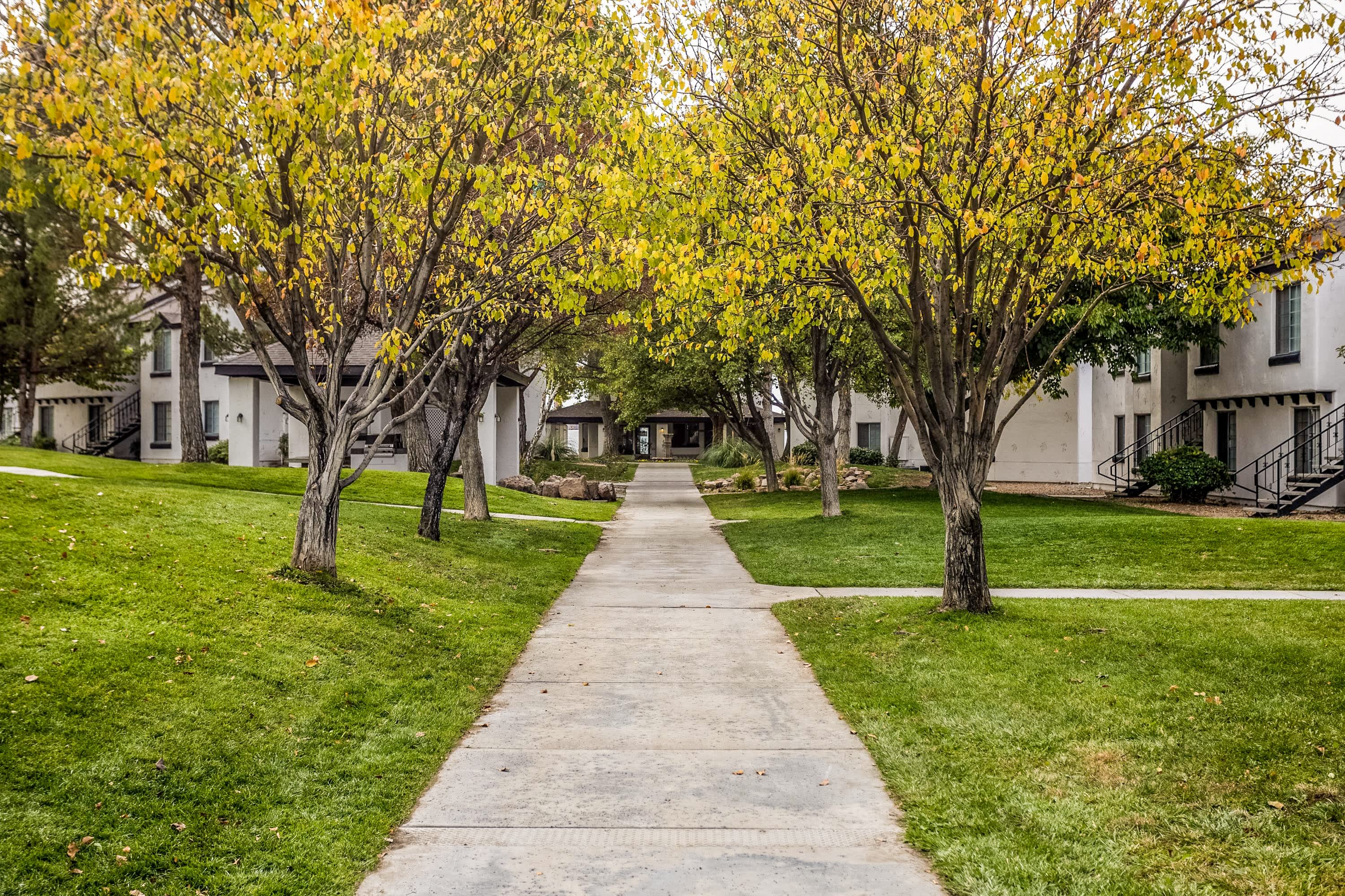 Union 505 – photo 2
