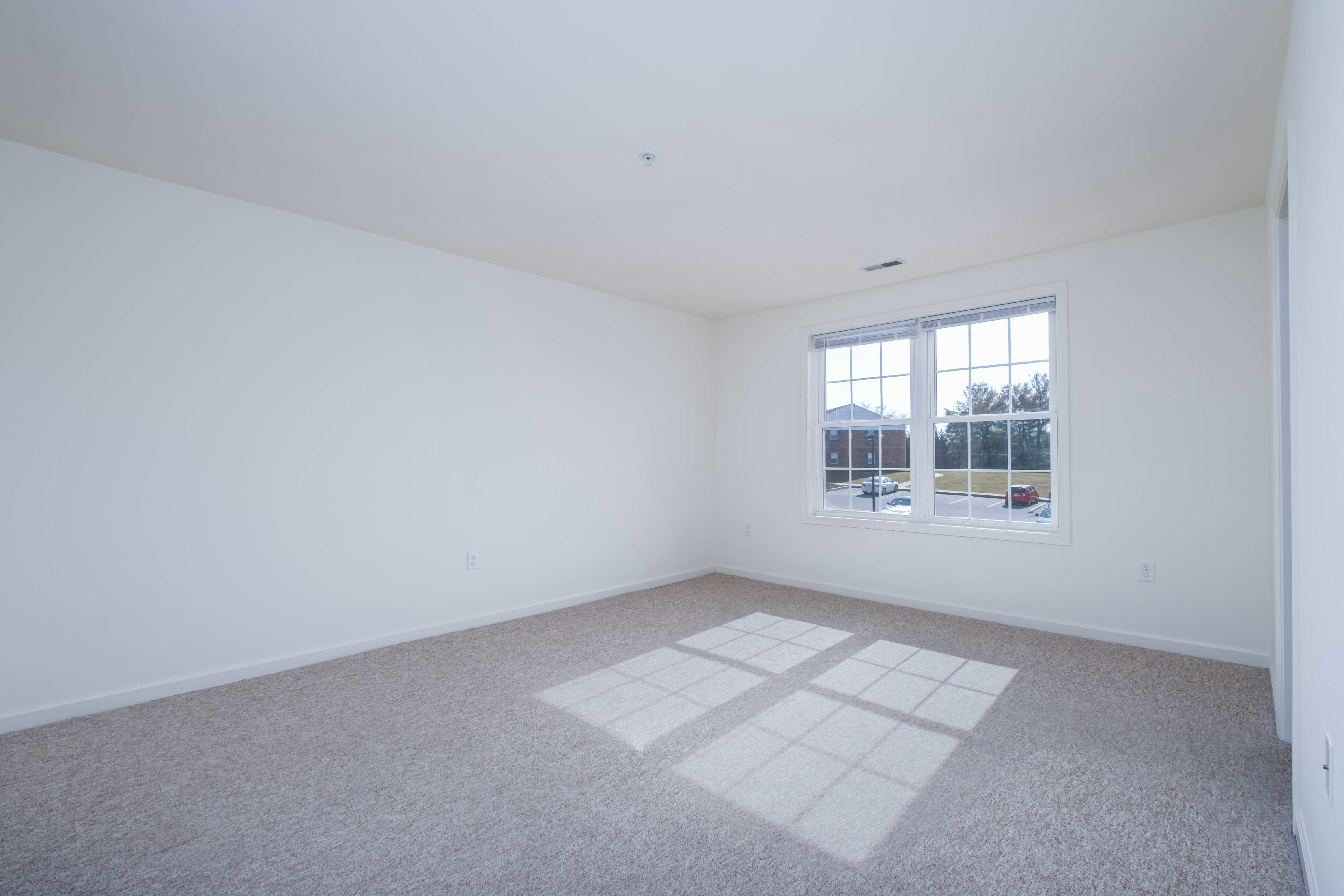 351 College Manor Ave – photo 4