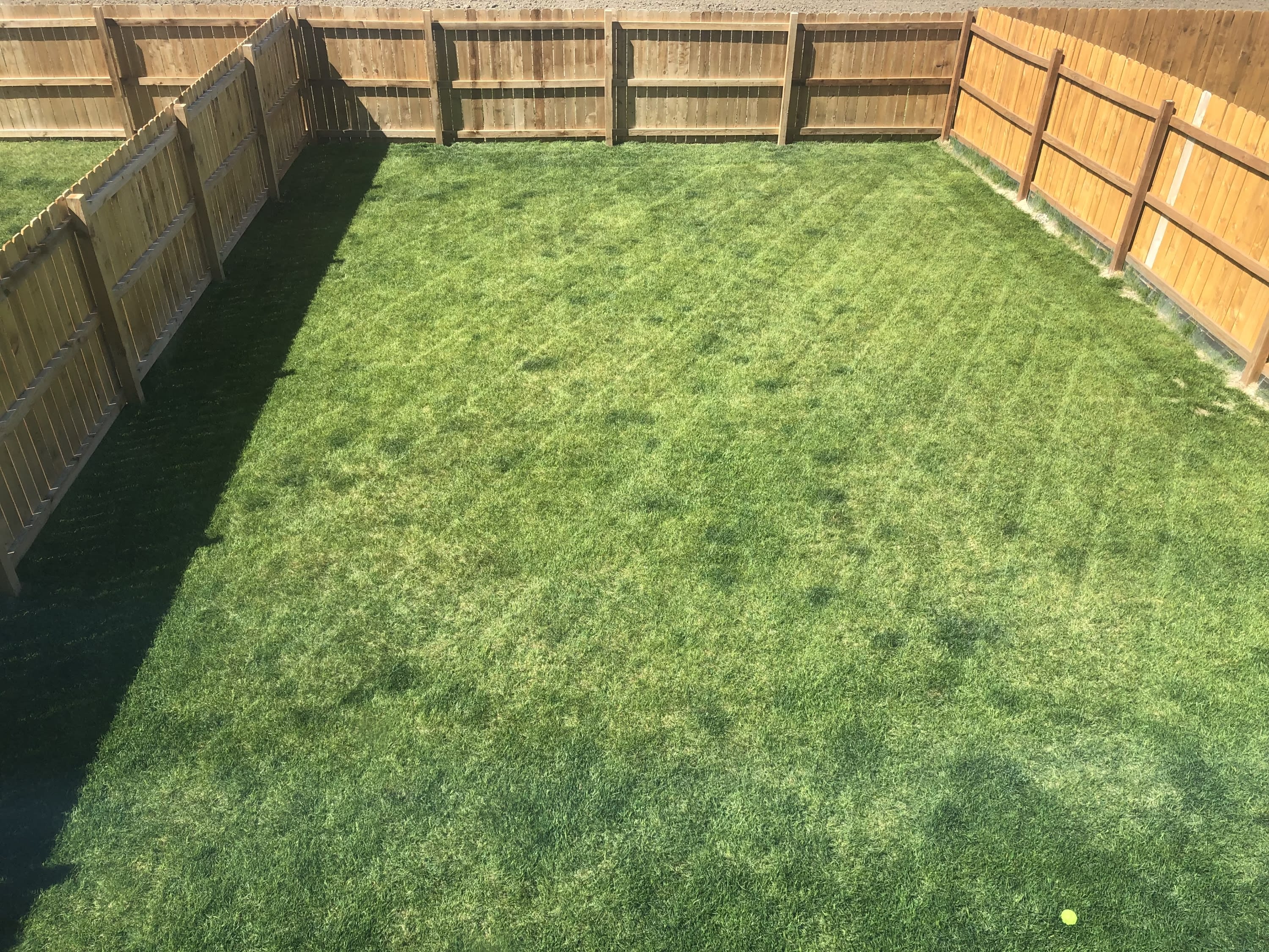 507 Foxtail Place – photo 2