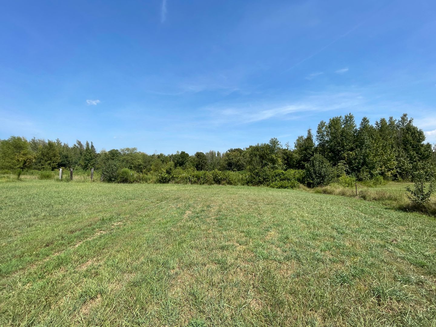 A DEER HUNTER'S DREAM with EXPANSIVE 10.41-acre lot – photo 4