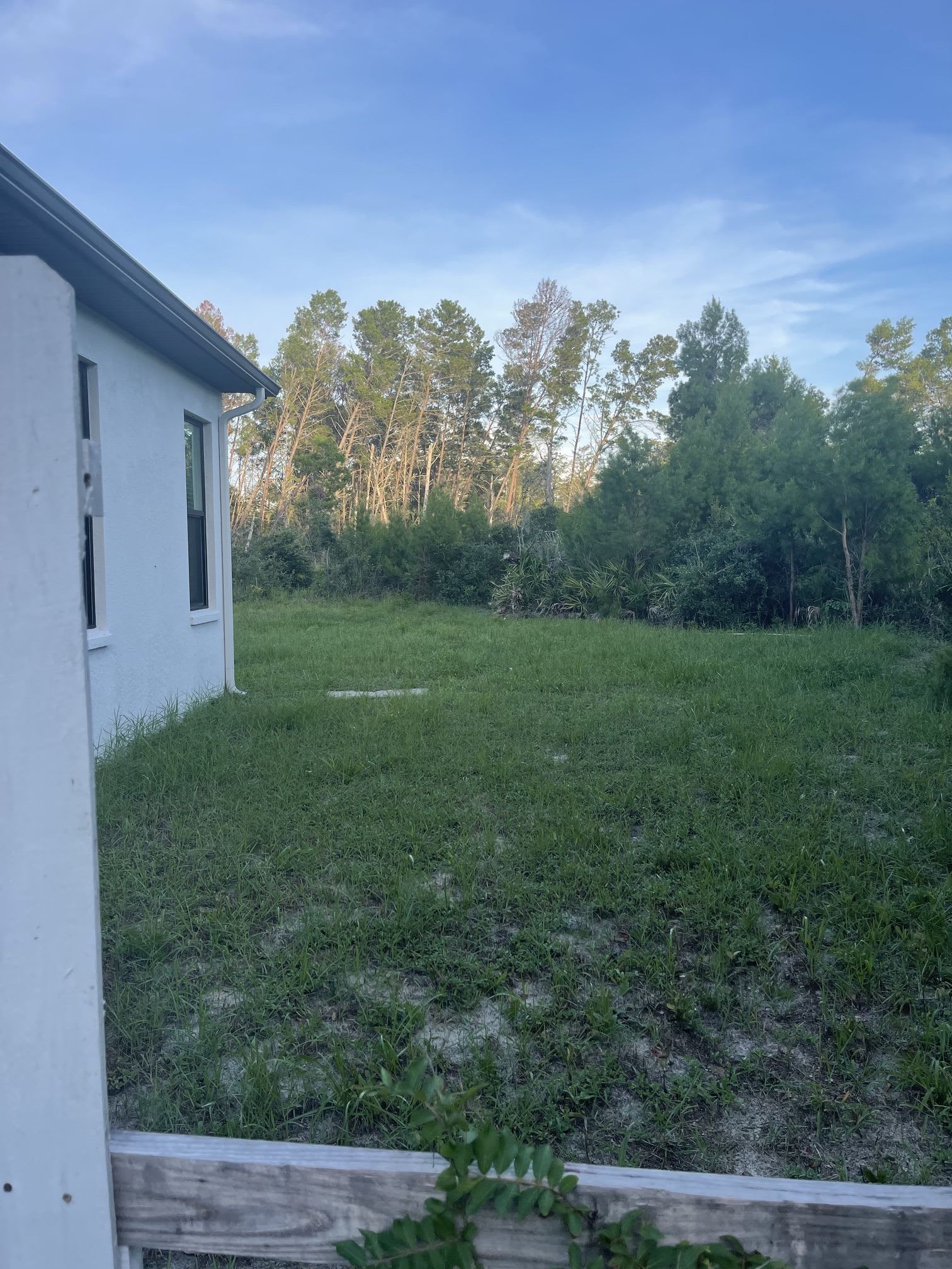 12536 Payson Street – photo 2