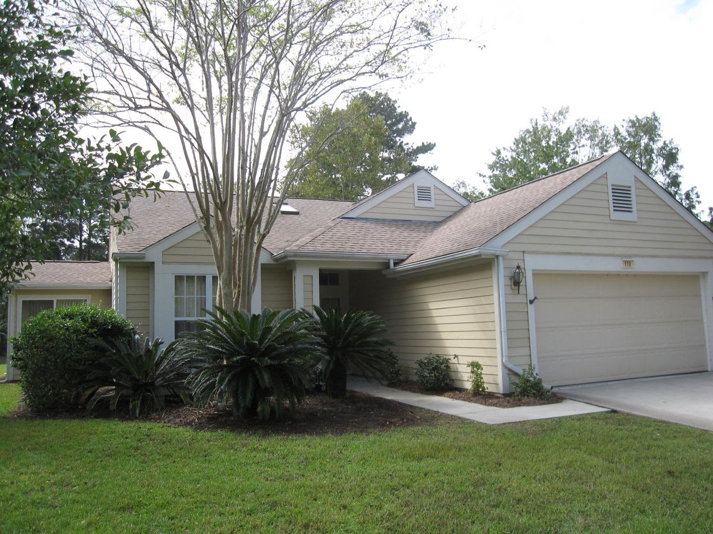 Sun City 55 + Community – photo 2