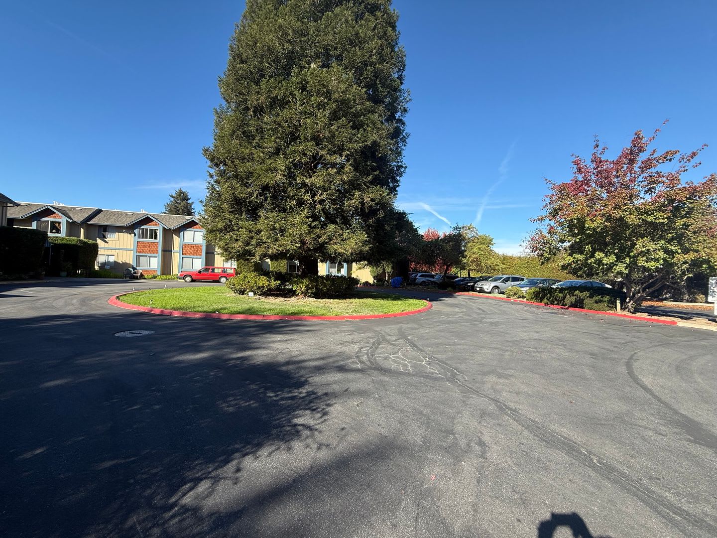 Low income 62+ 1 bedroom at Vista Prieta! – photo 2