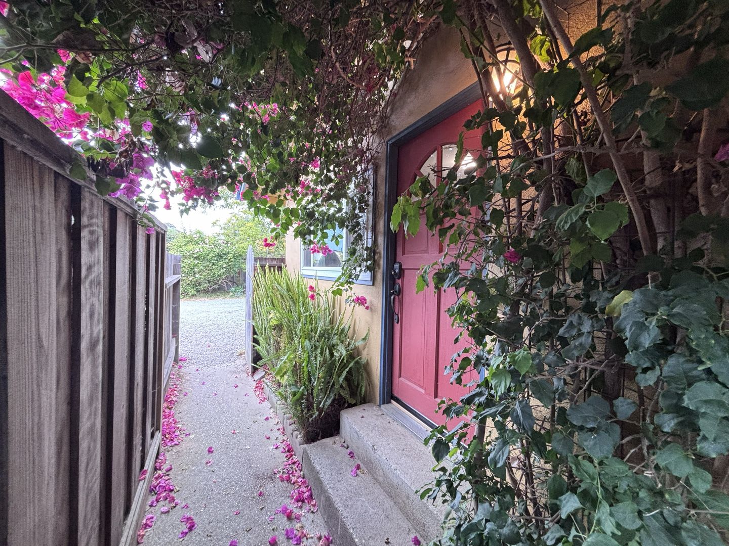 Cozy Soquel 1BR Retreat – photo 2