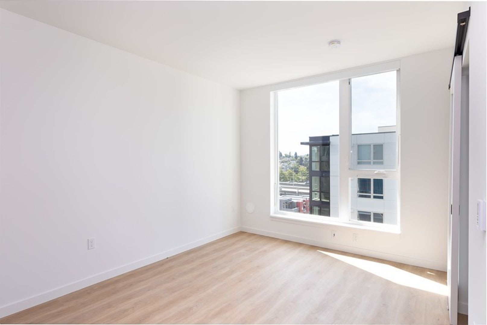 Track 66 – photo 1