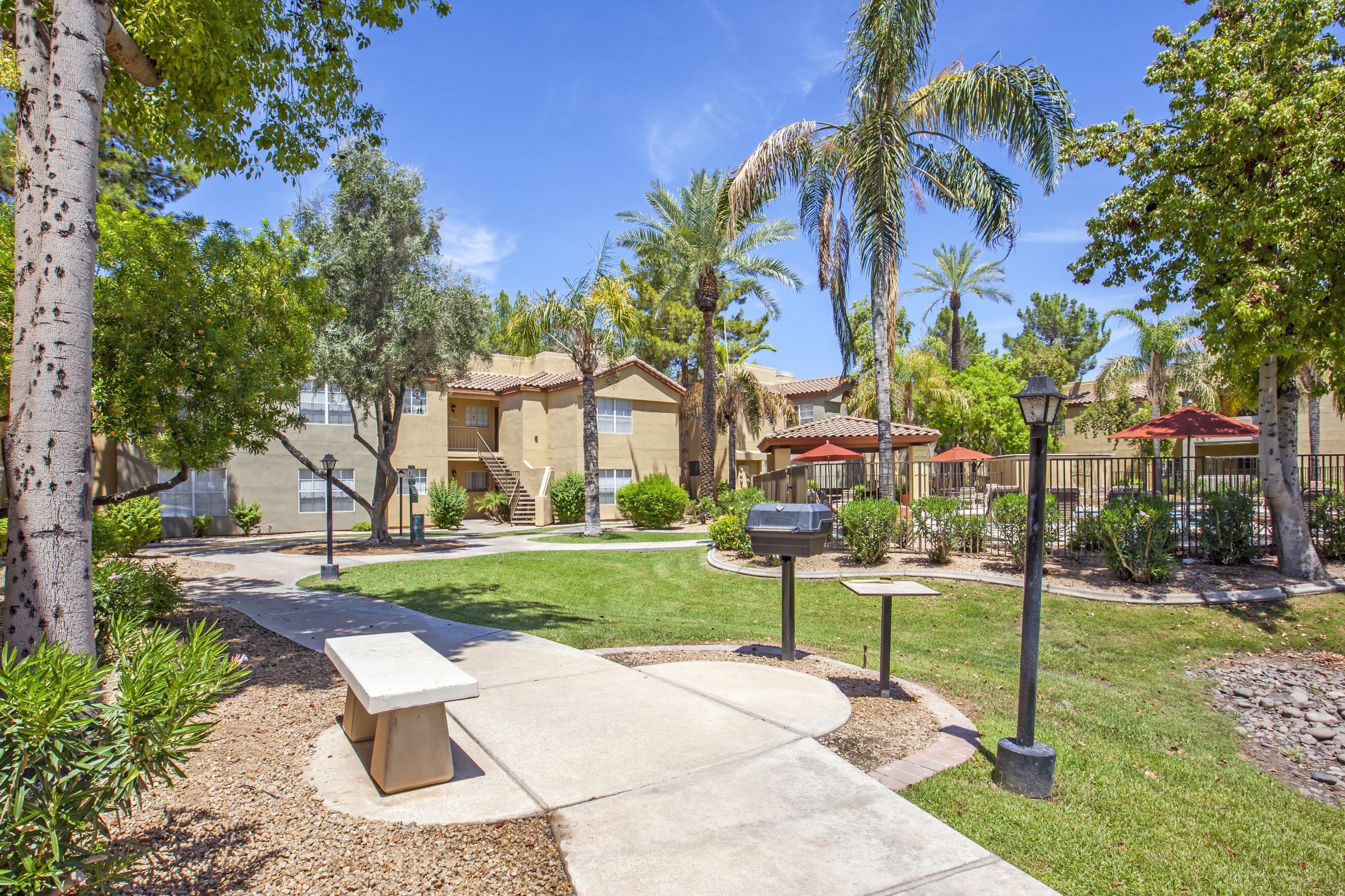 The Palms – photo 4