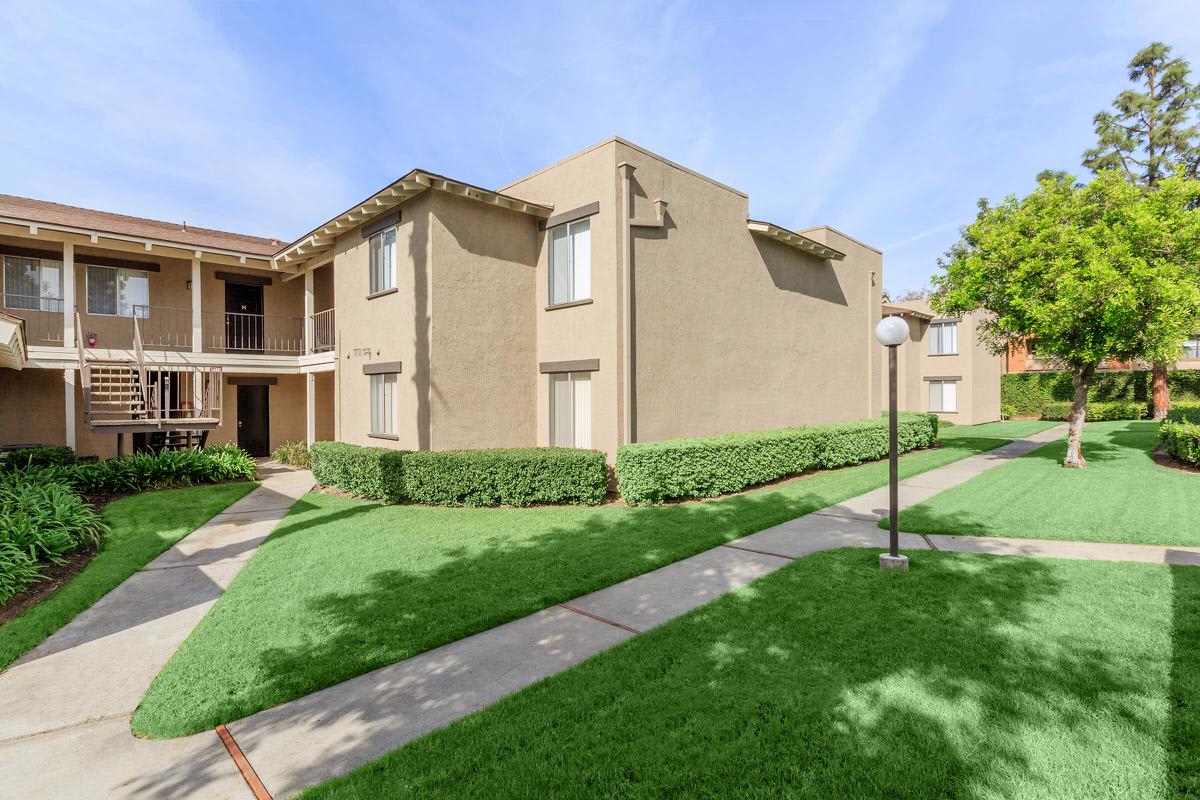 Placita Luxe – photo 4