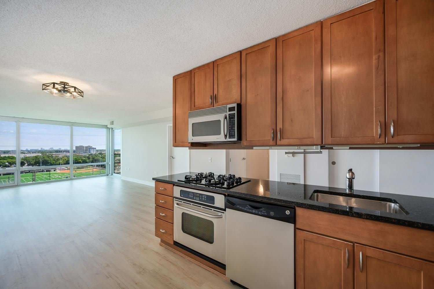 9715 Woods Drive – photo 5
