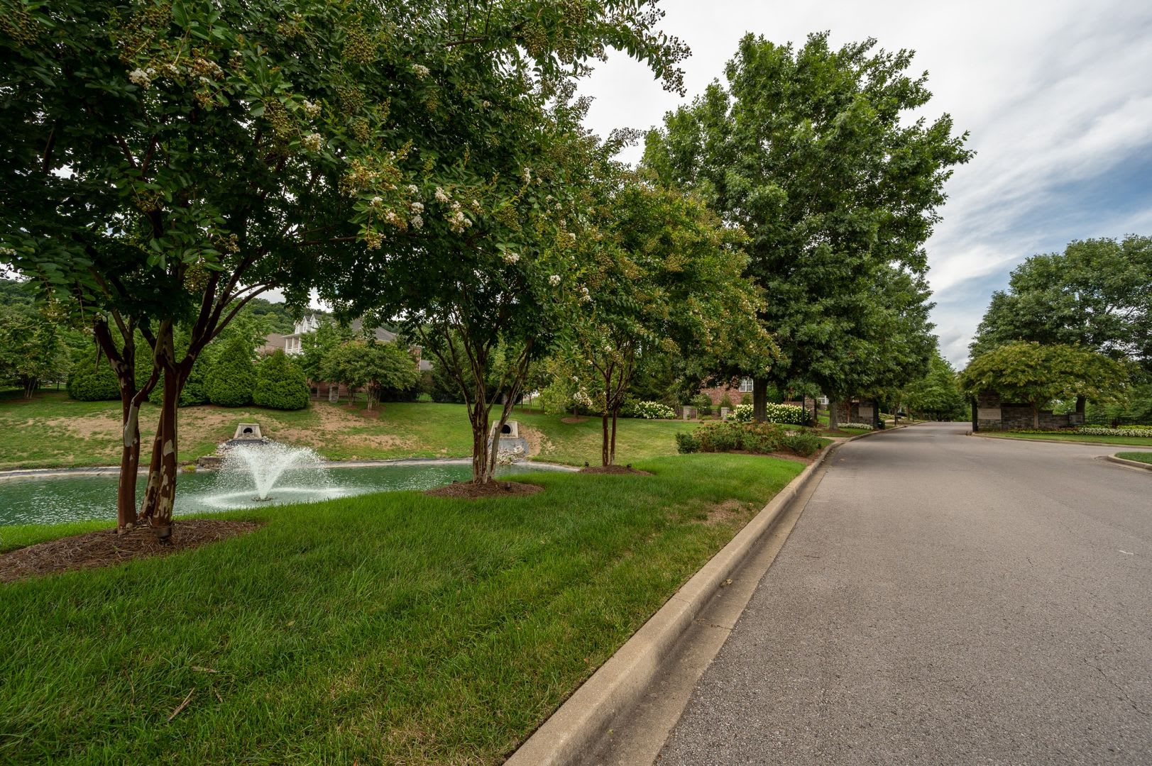**LUXURIOUS GATED COMMUNITY IN FRANKLIN ZONED FOR RAVENWOOD HIGH SCHOOL** – photo 4