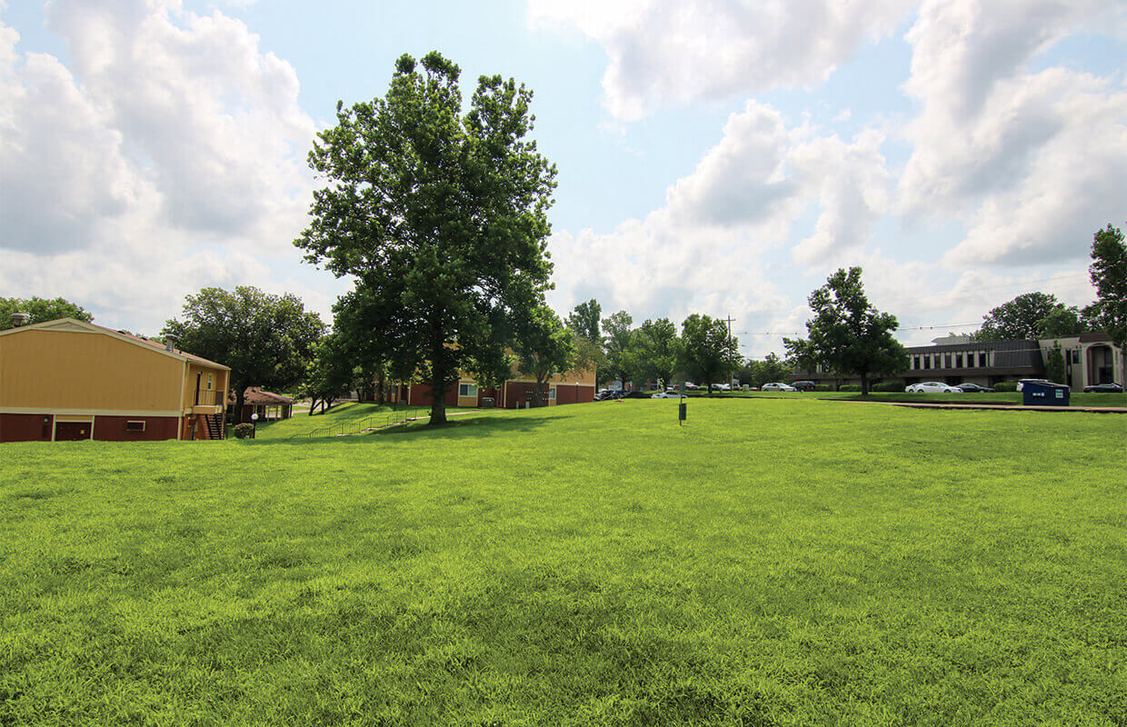 Raintree Apartments – photo 3