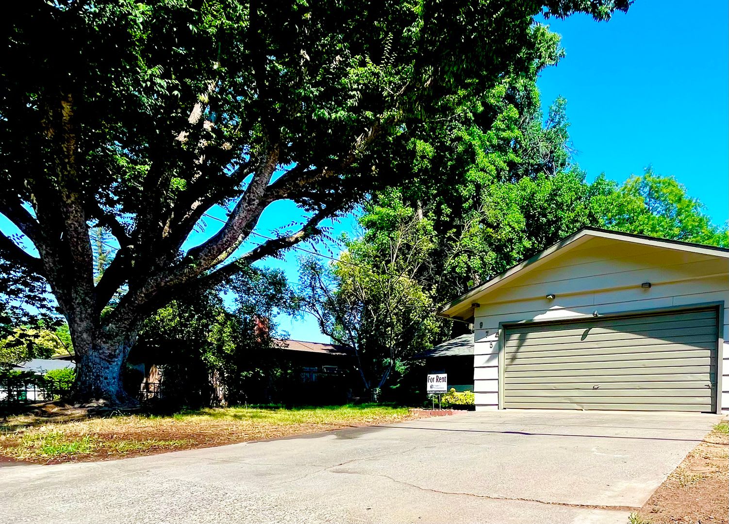 3 Bedroom Home with a Backyard!! – photo 4
