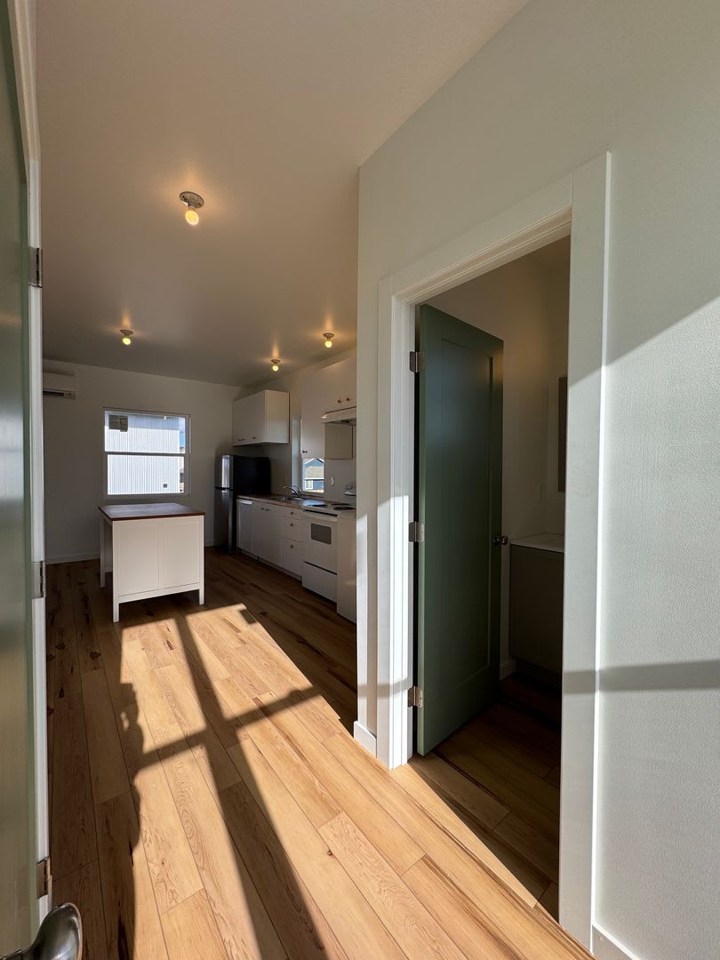 1BR, 1BA with Huge Garage – photo 3