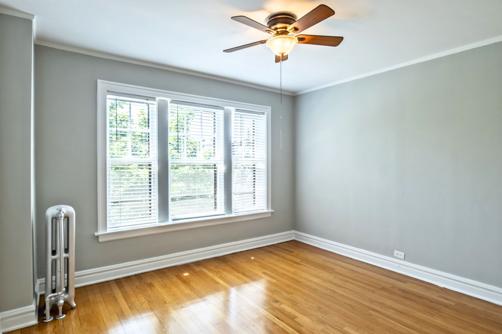 Sunny & Spacious Deluxe Edgewater One Bedroom Apartment – photo 5