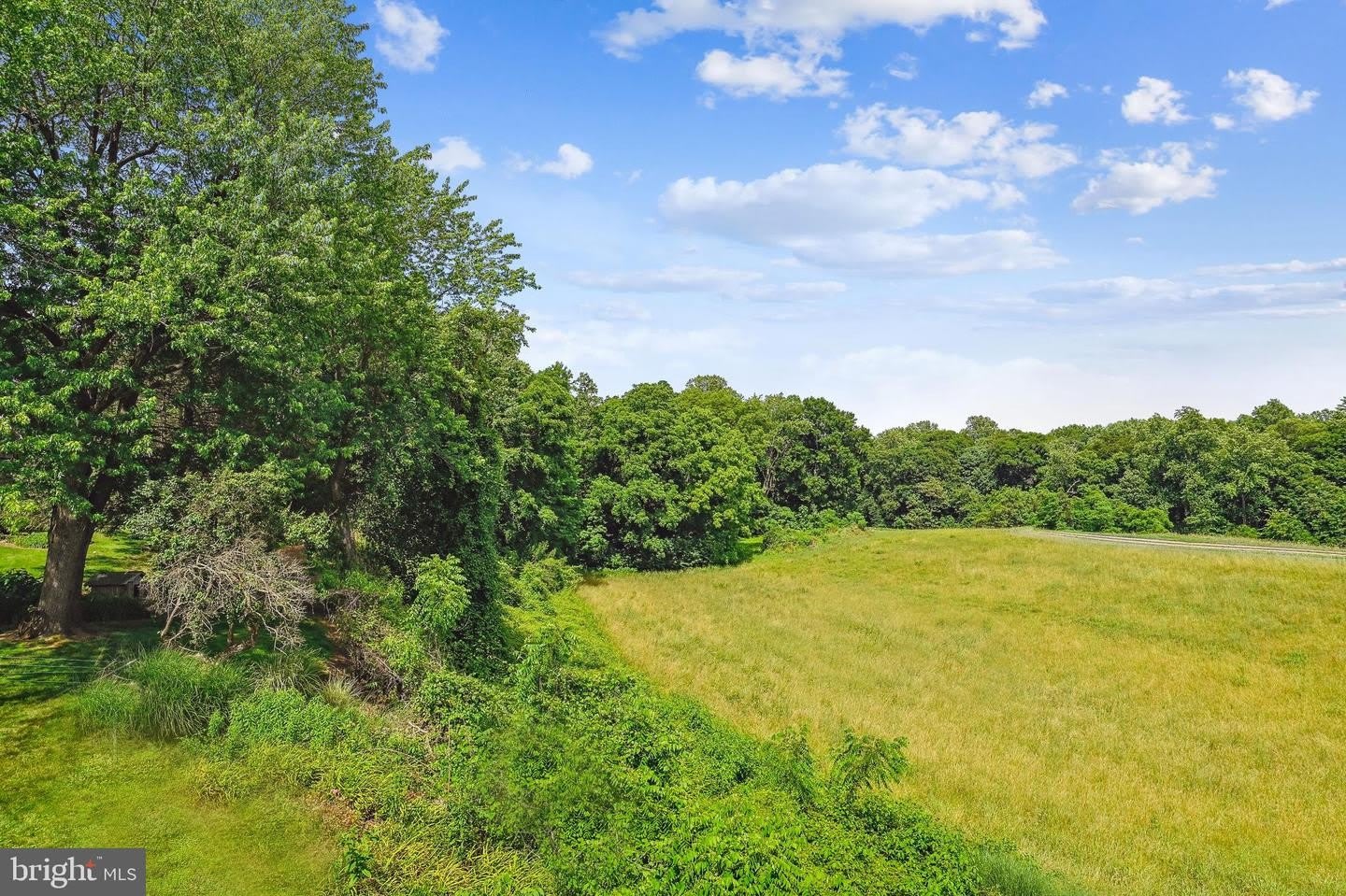 4475 MUDDY CREEK RD – photo 3