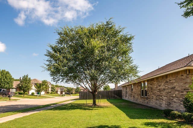 25 Larkspur Drive – photo 3