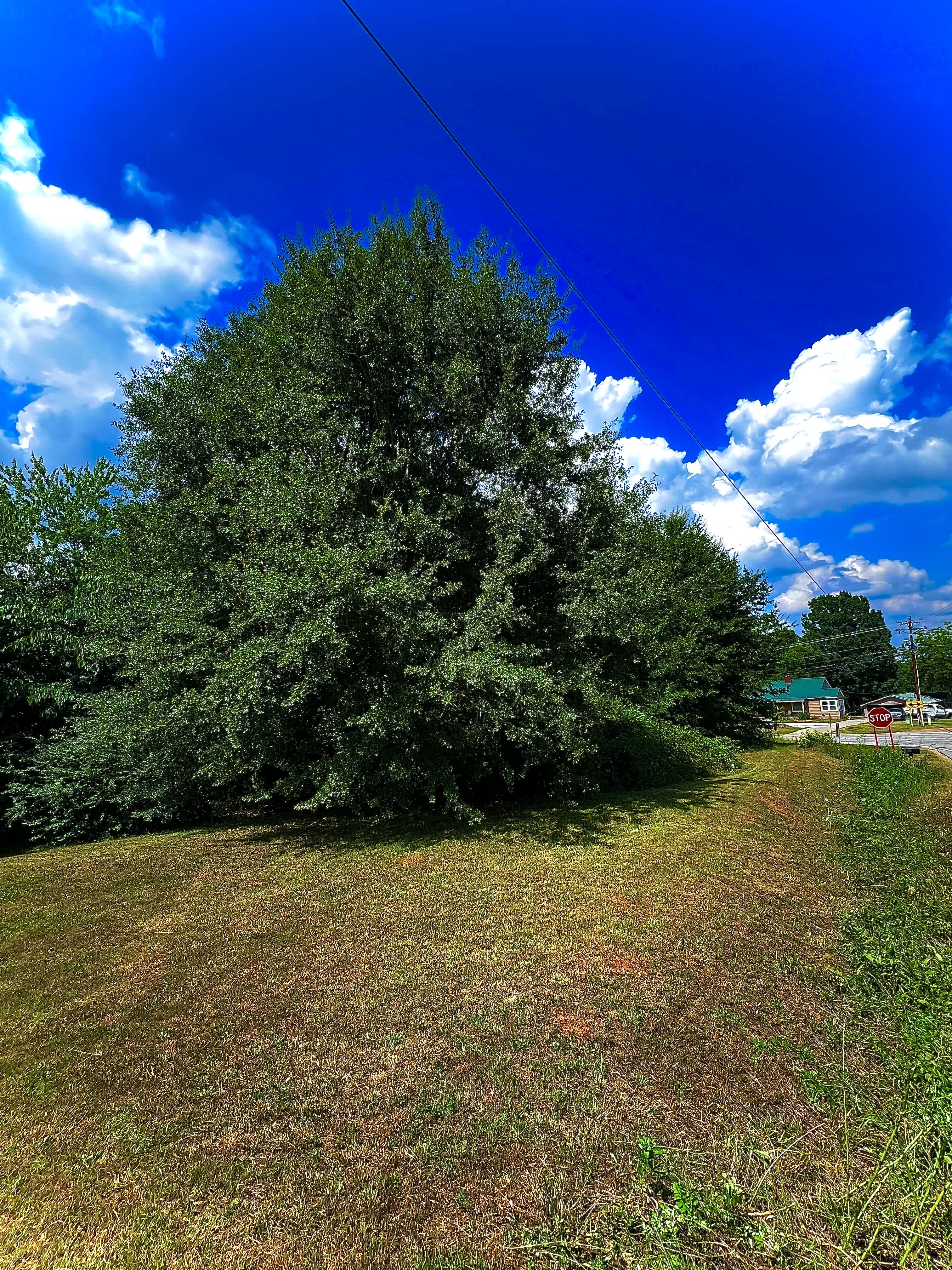367 East Reedy Fork Road – photo 3
