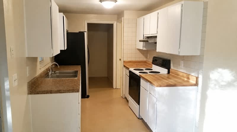 3712 Patina Drive – photo 5