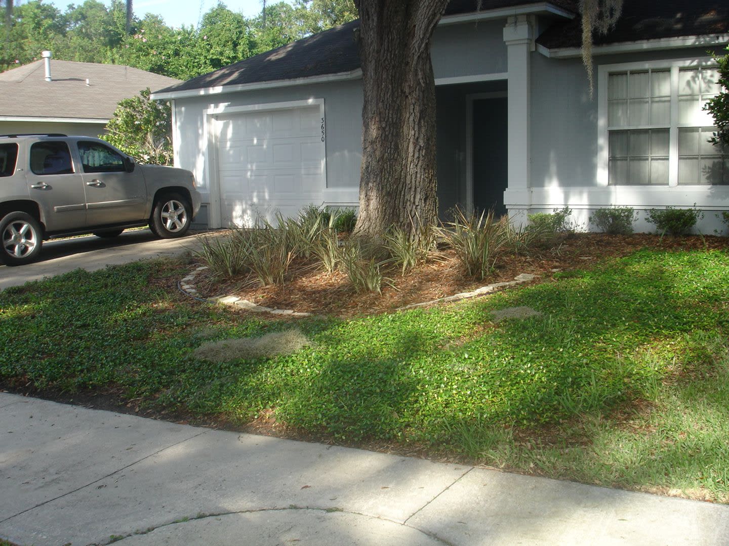 2/2 House with Garage in Palm Grove – photo 4