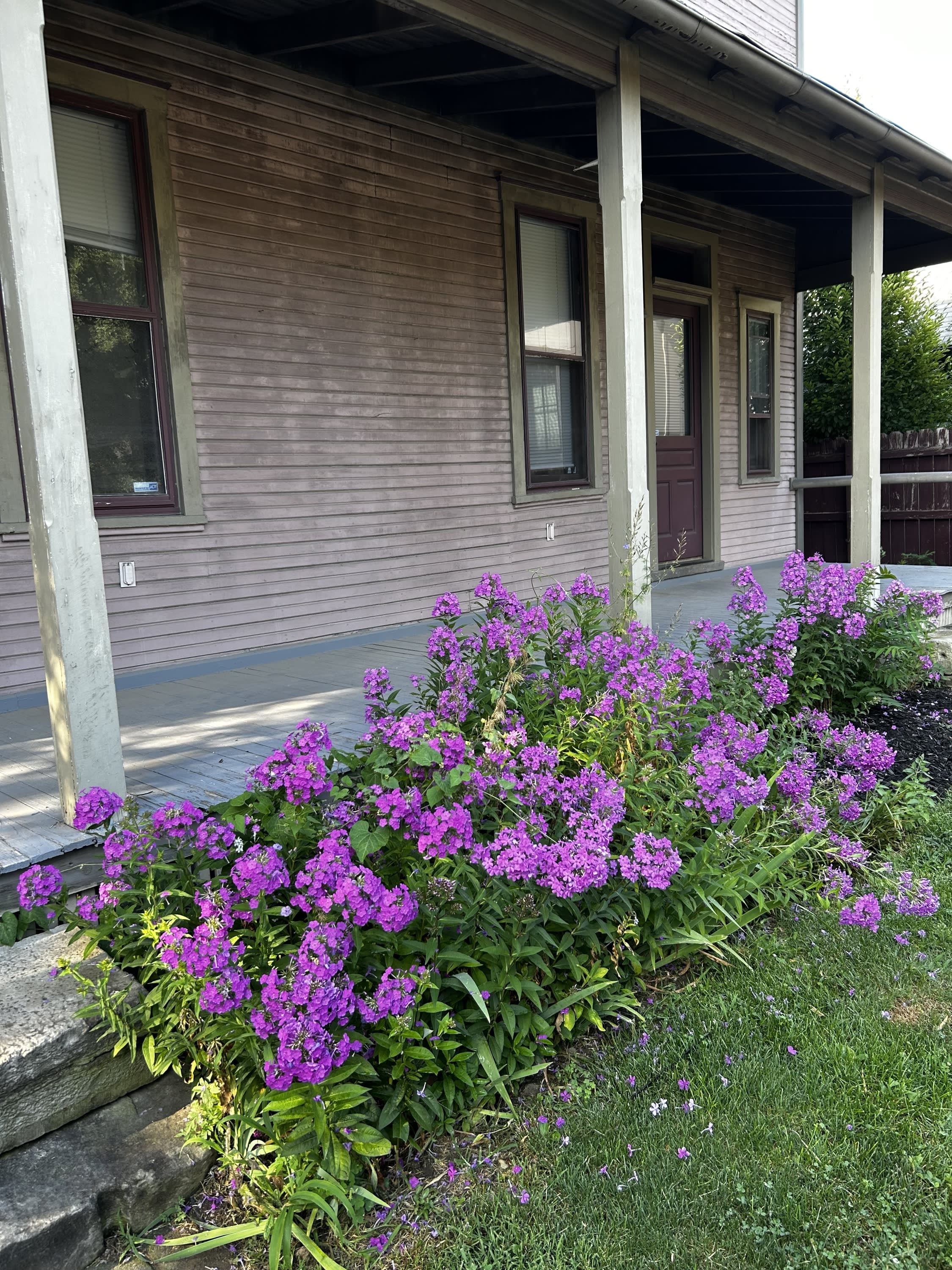 153 Punta Alley – photo 1