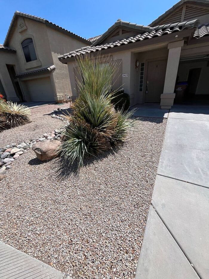 29429 North Blackfoot Daisy Drive – photo 2