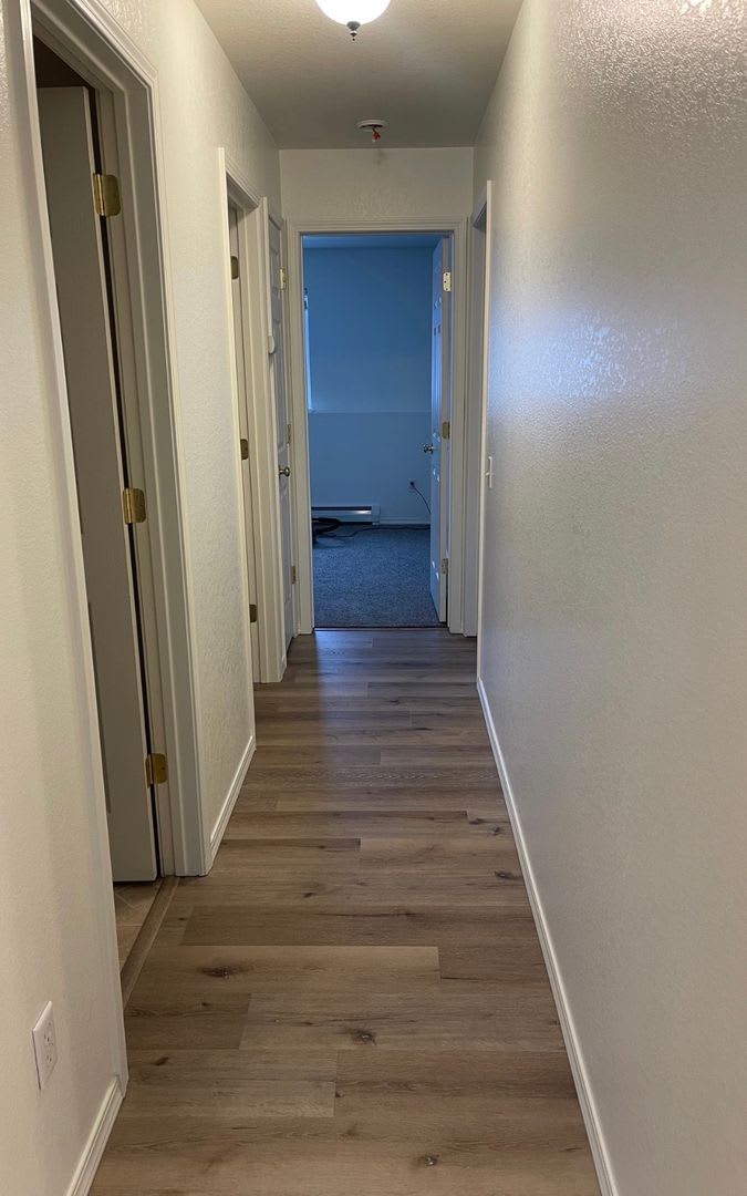 Charming Newly Remodeled 2-Bedroom, 1-Bath in Belgrade – photo 5