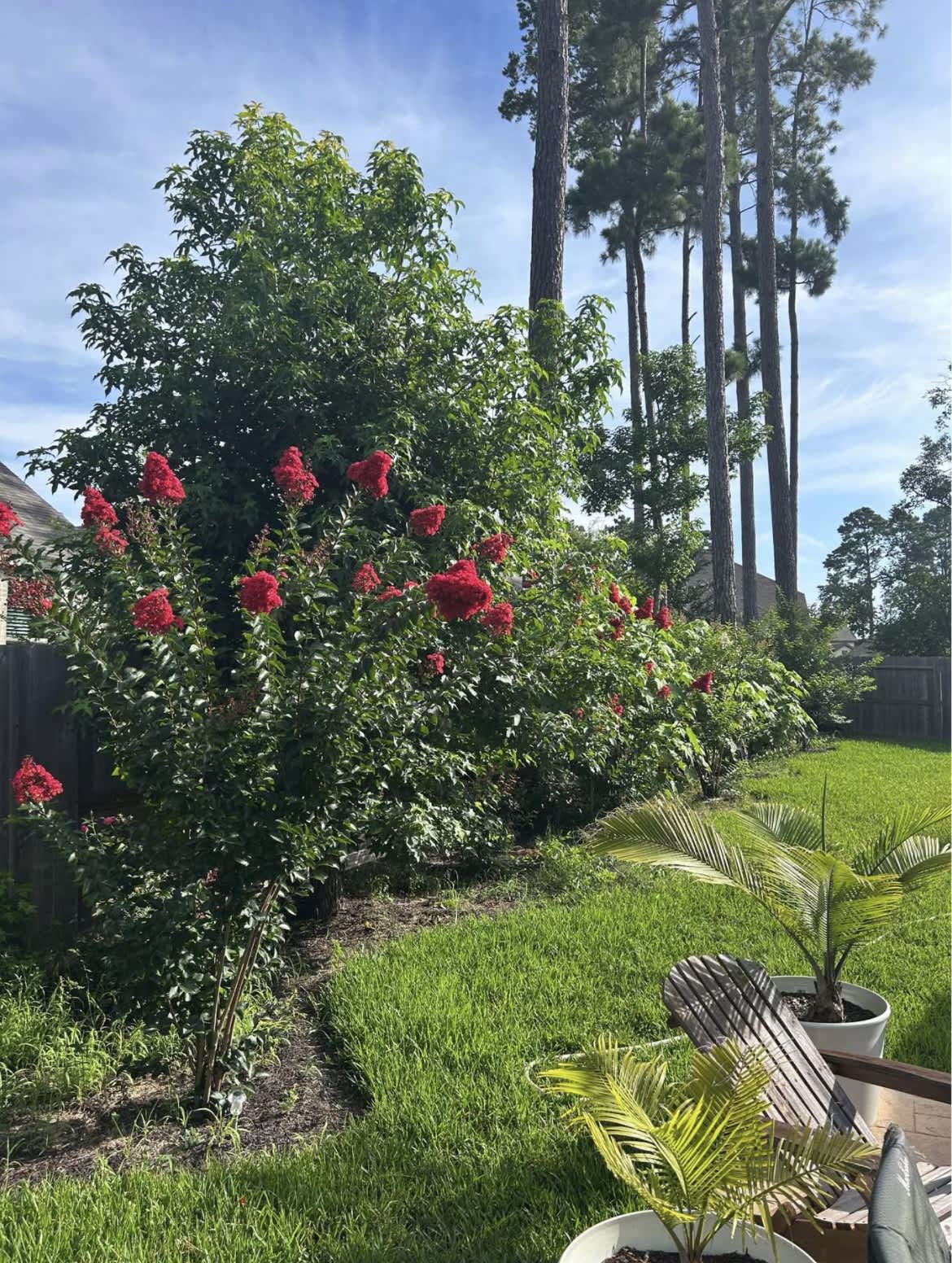322 Fan Palm Ct – photo 4